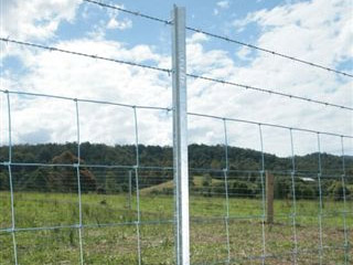 草原圍欄網
