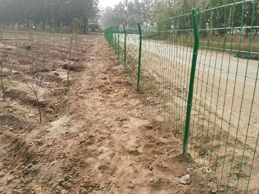 20851645169059.jpg 20851645169059.jpg